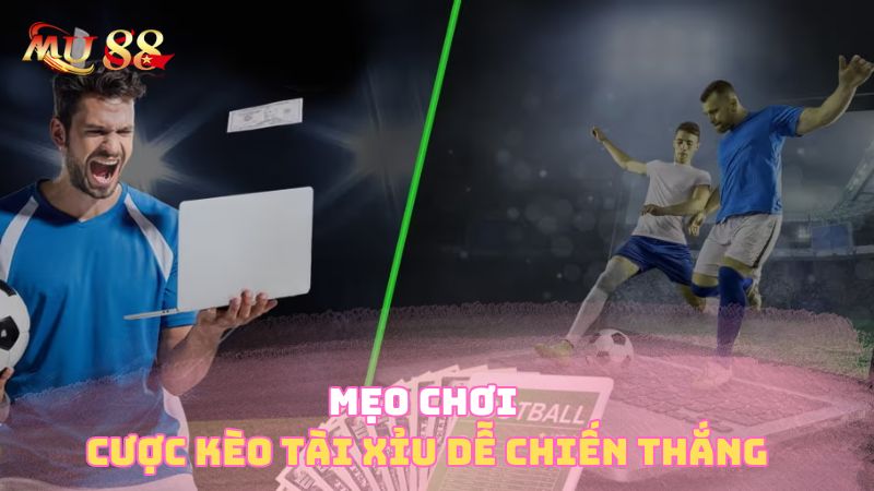 Mẹo chơi cược tài xỉu dễ chiến thắng