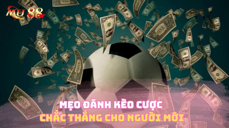 Mẹo đánh kèo cược chắc thắng cho người mới